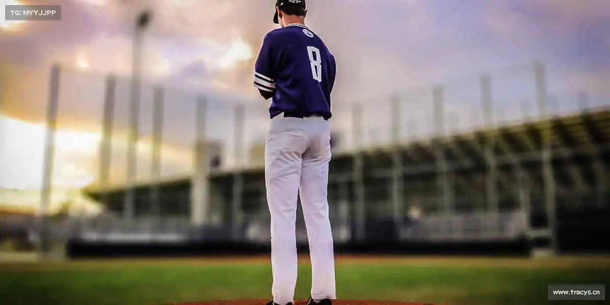 行业领先的理由